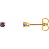 14K Yellow Gold 2.5 mm Natural Amethyst Earrings