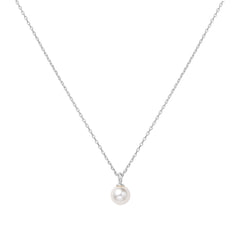 Pendants/Necklace
