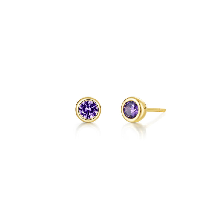 February Bezel Birthstone Earrings